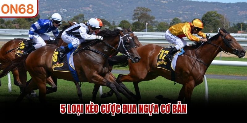 5 loại kèo cược đua ngựa cơ bản