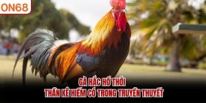 Gà Hắc Hổ Thới