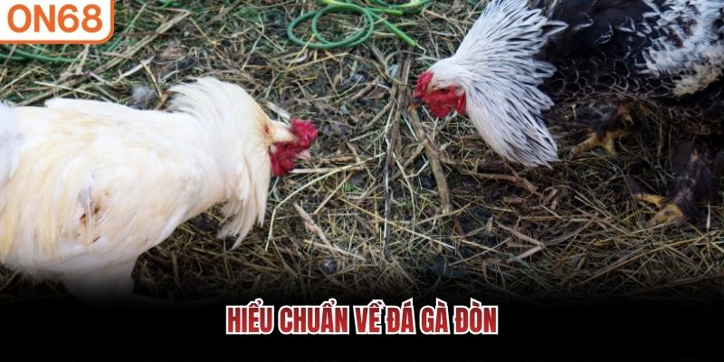 Hiểu chuẩn về đá gà đòn