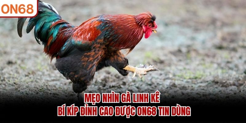 Mẹo Nhìn Gà Linh Kê