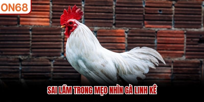 Sai lầm trong mẹo nhìn gà linh kê