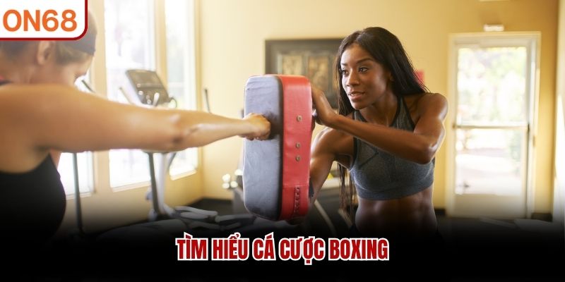 Tìm hiểu cá cược boxing