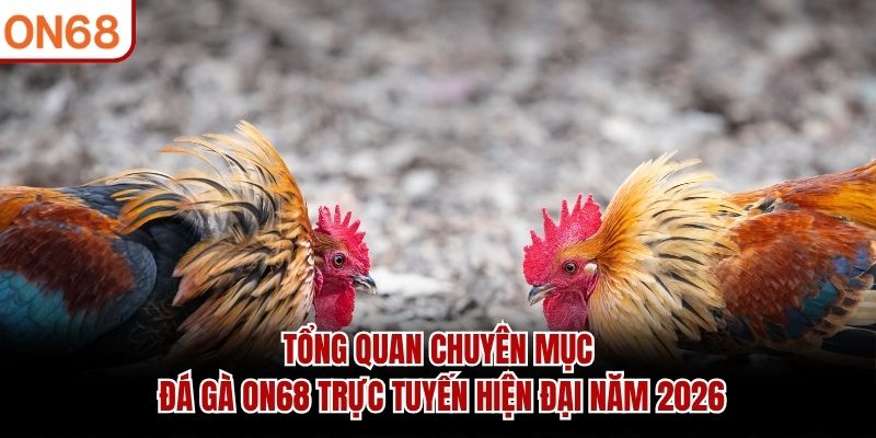 Tổng quan chuyên mục Đá Gà ON68 trực tuyến hiện đại năm 2026
